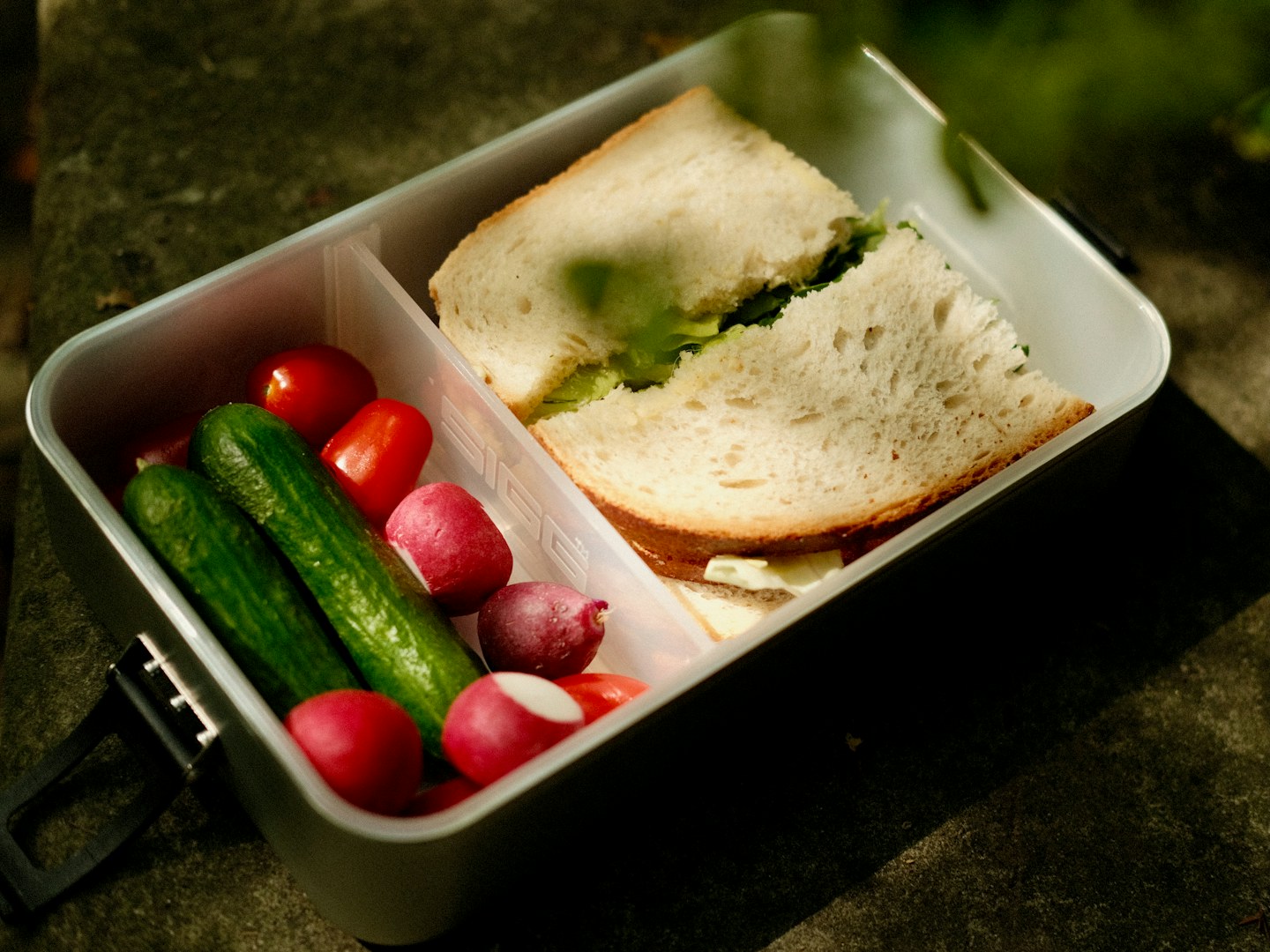 An open lunch container holding a sandwich and cut vegetables.